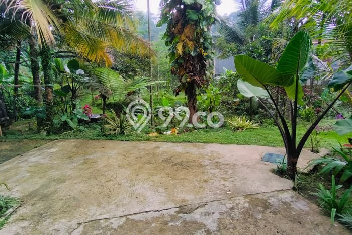 Kavling Tanah Dijual di Tawangmangu Karanganyar Spesifikasi 120m2 Kavling Tanah Dijual di Tawangmangu Karanganyar Spesifikasi 120m2