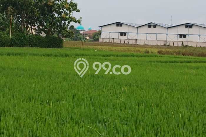 Kavling Tanah Dijual di Kebakkramat Karanganyar Spesifikasi 680m2 Kavling Tanah Dijual di Kebakkramat Karanganyar Spesifikasi 680m2