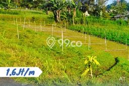 Kavling Tanah Dijual di Tawangmangu, Karanganyar, Luas 392m2 Area Strategis Kavling Tanah Dijual di Tawangmangu, Karanganyar, Luas 392m2 Area Strategis