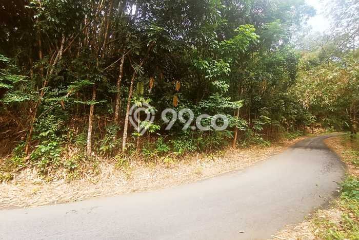 Tanah Kavling untuk Dijual di Ngargoyoso Karanganyar 1500m2 Tanah Kavling untuk Dijual di Ngargoyoso Karanganyar 1500m2