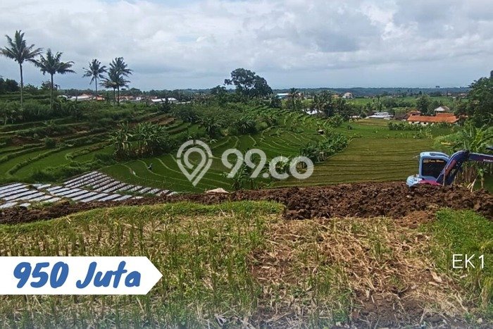 Lahan Kosong Dijual di Ngargoyoso, Karanganyar, Luas 4300m2 Area Strategis Lahan Kosong Dijual di Ngargoyoso, Karanganyar, Luas 4300m2 Area Strategis