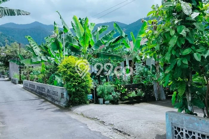 Tanah di Tawangmangu, Karanganyar Luas 140m2 Dijual Segera Tanah di Tawangmangu, Karanganyar Luas 140m2 Dijual Segera