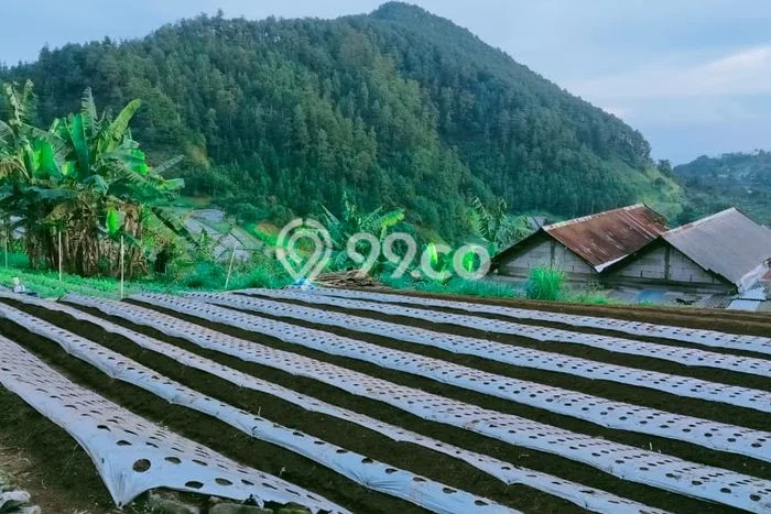 Tanah Dijual Lokasi Tawangmangu, Karanganyar Luas 700m2 Legalitas Aman Tanah Dijual Lokasi Tawangmangu, Karanganyar Luas 700m2 Legalitas Aman
