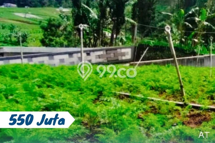 Lahan Dijual Lokasi Tawangmangu, Karanganyar dengan Luas Tanah 207m2 dan Status SHM Lahan Dijual Lokasi Tawangmangu, Karanganyar dengan Luas Tanah 207m2 dan Status SHM