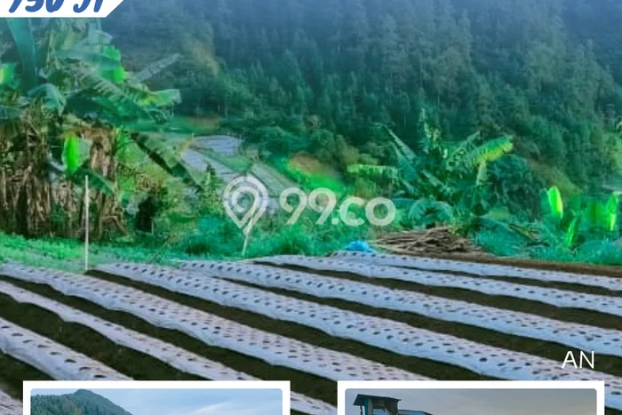 Tanah Dijual Lokasi Tawangmangu, Karanganyar Luas 700m2 Legalitas Aman Tanah Dijual Lokasi Tawangmangu, Karanganyar Luas 700m2 Legalitas Aman