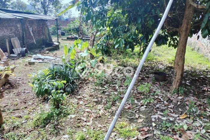 Tanah Komersial Dijual di Karangpandan Karanganyar 250m2 Tanah Komersial Dijual di Karangpandan Karanganyar 250m2
