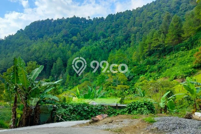 Kavling Tanah Dijual di Tawangmangu Karanganyar Spesifikasi 280m2 Kavling Tanah Dijual di Tawangmangu Karanganyar Spesifikasi 280m2
