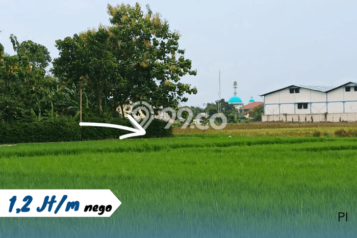Kavling Tanah Dijual di Kebakkramat Karanganyar Spesifikasi 680m2 Kavling Tanah Dijual di Kebakkramat Karanganyar Spesifikasi 680m2
