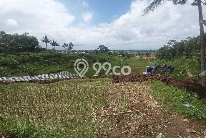 Lahan Kosong Dijual di Ngargoyoso, Karanganyar, Luas 4300m2 Area Strategis Lahan Kosong Dijual di Ngargoyoso, Karanganyar, Luas 4300m2 Area Strategis