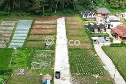 Tanah untuk Dijual di Tawangmangu Karanganyar Luas 110m2 Tanah untuk Dijual di Tawangmangu Karanganyar Luas 110m2