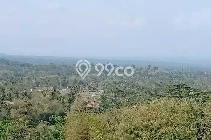 Untuk Dijual Tanah di Borobudur Magelang Luas 50000m2 SHM Untuk Dijual Tanah di Borobudur Magelang Luas 50000m2 SHM