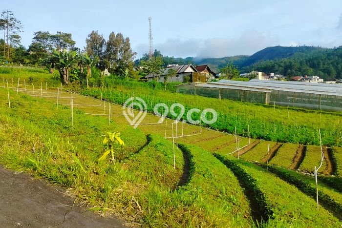 Tanah Dijual Lokasi Tawangmangu, Karanganyar dengan Luas Tanah 392m2 dan Status SHM Tanah Dijual Lokasi Tawangmangu, Karanganyar dengan Luas Tanah 392m2 dan Status SHM