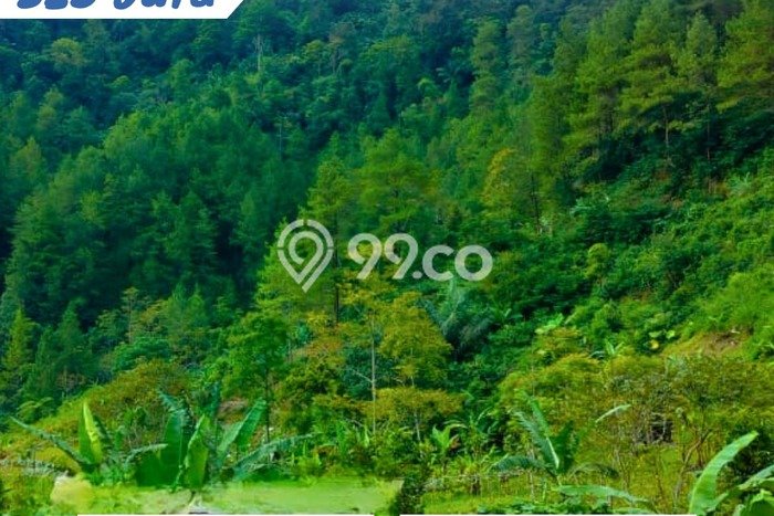 Kavling Tanah Dijual di Tawangmangu Karanganyar Spesifikasi 280m2 Kavling Tanah Dijual di Tawangmangu Karanganyar Spesifikasi 280m2