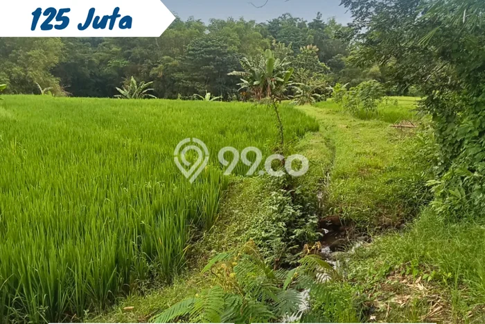 Kavling Tanah Dijual di Kebakkramat, Karanganyar, Luas 1361m2 Area Strategis Kavling Tanah Dijual di Kebakkramat, Karanganyar, Luas 1361m2 Area Strategis