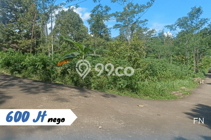Kavling Tanah di Karangpandan Dijual Luas 1900m2 Legalitas SHM Kavling Tanah di Karangpandan Dijual Luas 1900m2 Legalitas SHM