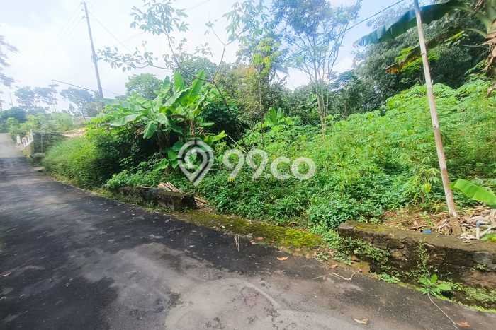 Jarang Ada! Tanah di Ngargoyoso Punya Luas 800m2 SHM Jarang Ada! Tanah di Ngargoyoso Punya Luas 800m2 SHM