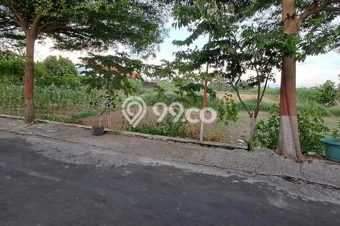 Lahan Strategis di Banyudono Dijual dengan Luas 1420m2 Lahan Strategis di Banyudono Dijual dengan Luas 1420m2