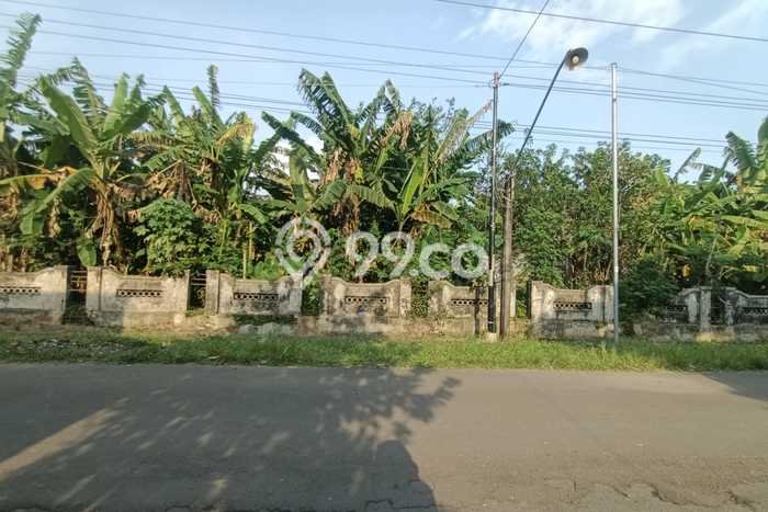 Tanah Dijual Lokasi Polokarto, Sukoharjo Luas 1493m2 Legalitas Aman Tanah Dijual Lokasi Polokarto, Sukoharjo Luas 1493m2 Legalitas Aman