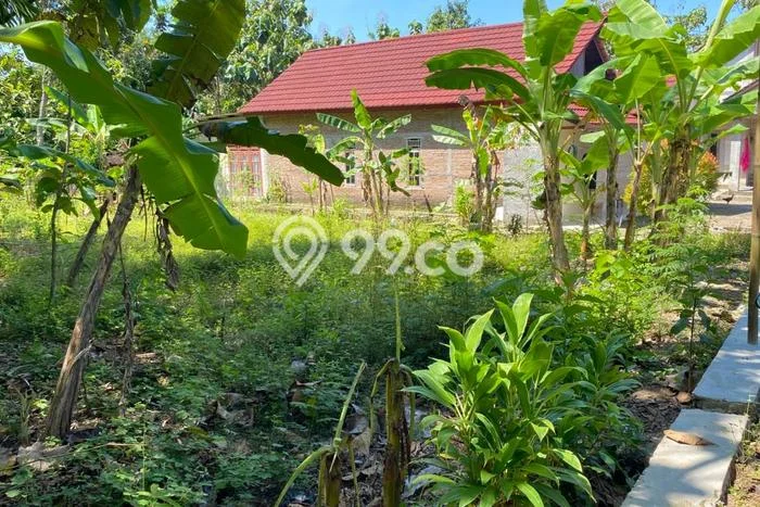 Tanah untuk Dijual Lokasi Kalijambe, Sragen Luas 202m2 - Tanah untuk Dijual Lokasi Kalijambe, Sragen Luas 202m2 -