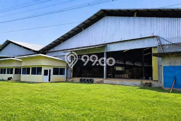 Pabrik Dijual Lokasi Stratagis di Jepara Jepara Cocok untuk Investasi Pabrik Dijual Lokasi Stratagis di Jepara Jepara Cocok untuk Investasi