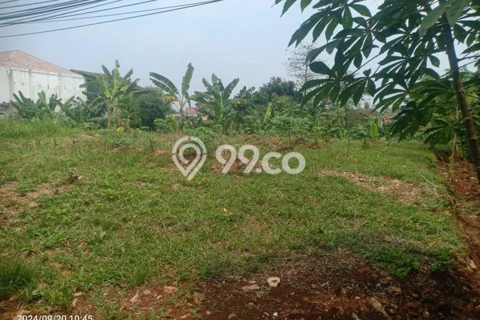 Tanah Dijual Lokasi Cilodong Depok SHM Tanah Dijual Lokasi Cilodong Depok SHM