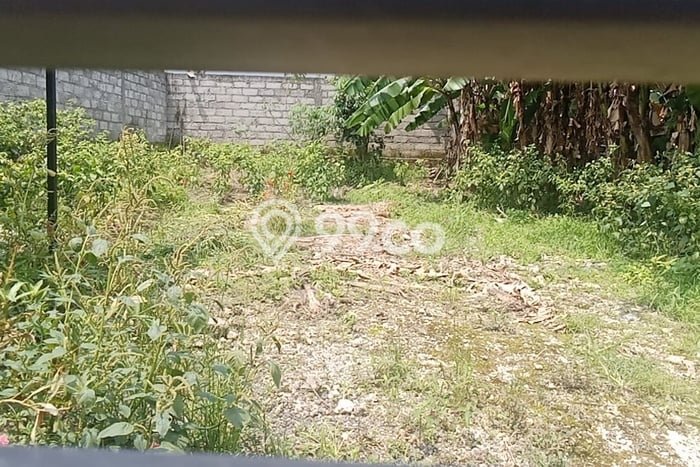 Tanah Kavling Disewakan di Kaba kaba dengan Luas 200m2 Tanah Kavling Disewakan di Kaba kaba dengan Luas 200m2