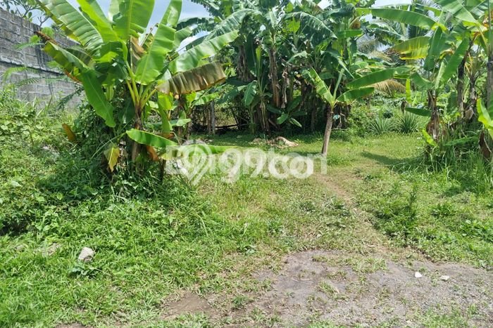 Dijual Tanah di Baturiti Tabanan Luas 200m2 SHM Dijual Tanah di Baturiti Tabanan Luas 200m2 SHM