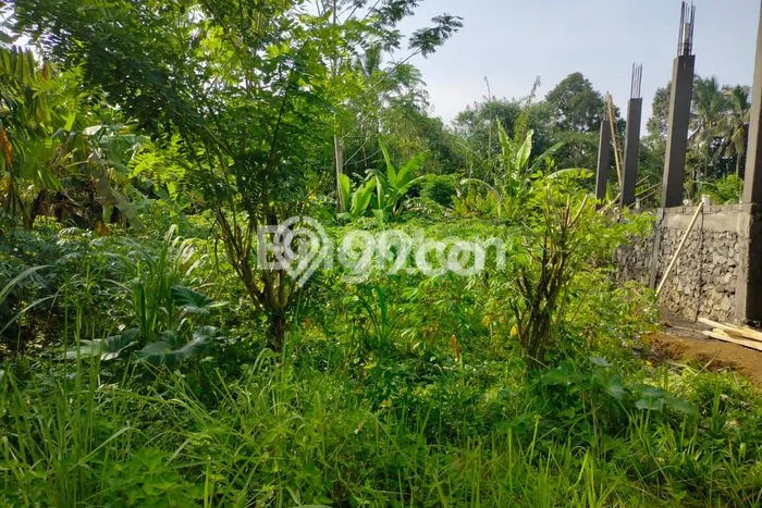 Dijual Tanah di Baturiti Tabanan Luas 200m2 SHM Dijual Tanah di Baturiti Tabanan Luas 200m2 SHM