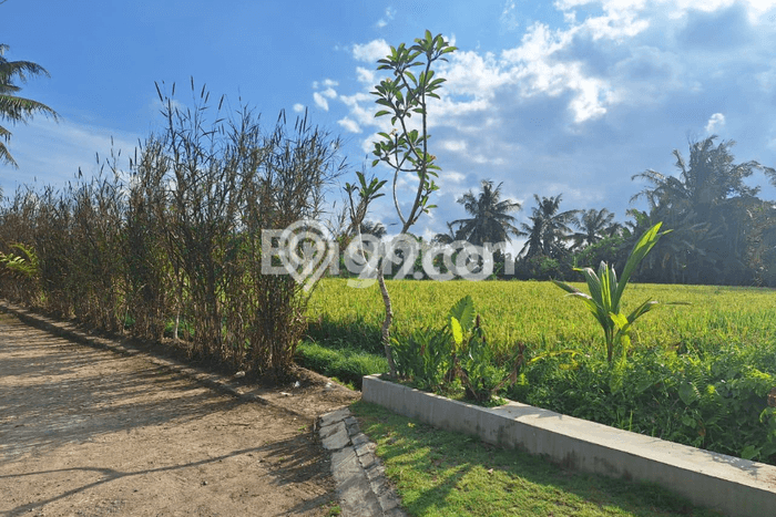 Vila di Ubud, Area 117m2m², Sewa Ekonomis, Lokasi Premium Vila di Ubud, Area 117m2m², Sewa Ekonomis, Lokasi Premium