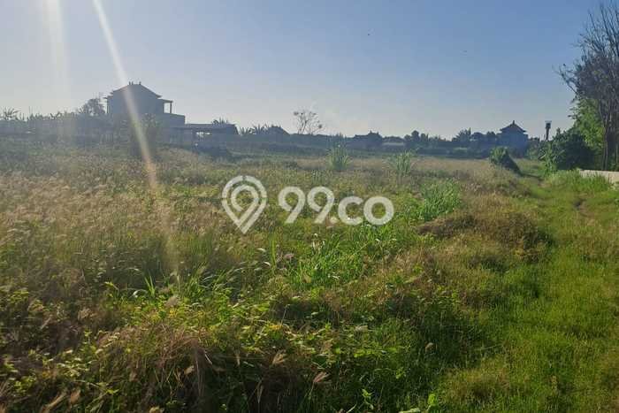 Tanah di Ketewel, Luas 46000m2m², Lokasi Strategis, Lingkungan Asri, Kontur Datar Tanah di Ketewel, Luas 46000m2m², Lokasi Strategis, Lingkungan Asri, Kontur Datar