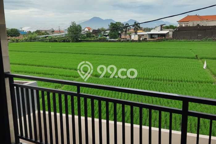 Vila di Mengwi, Luas 0m2m², Disewakan, Lingkungan Asri Vila di Mengwi, Luas 0m2m², Disewakan, Lingkungan Asri
