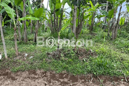 Tanah Dijual Lokasi Ubud, Gianyar dengan Luas Tanah 2300m2 dan Status SHM Tanah Dijual Lokasi Ubud, Gianyar dengan Luas Tanah 2300m2 dan Status SHM
