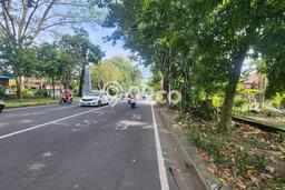 Tanah Disewakan Lokasi Renon Denpasar Luas 2000m2 Tanah Disewakan Lokasi Renon Denpasar Luas 2000m2