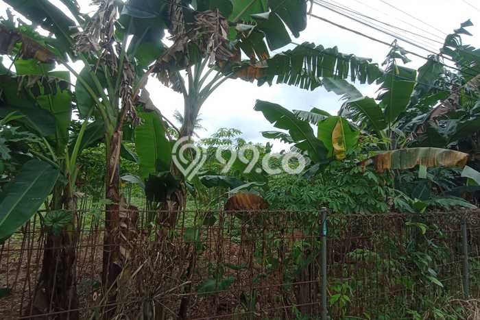 Jarang Ada! Tanah di Gunung Putri Punya Luas 1500m2 SHM Jarang Ada! Tanah di Gunung Putri Punya Luas 1500m2 SHM