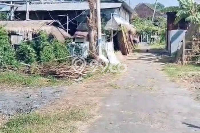 Tanah Investasi Dijual di Tabanan Punya Luas 210m2 Tanah Investasi Dijual di Tabanan Punya Luas 210m2
