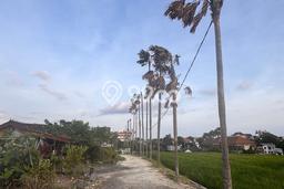 Lahan Dijual Lokasi Strategis di Badung dengan Luas 116m2 Lahan Dijual Lokasi Strategis di Badung dengan Luas 116m2