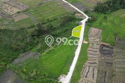 Tanah Kavling Dijual di Badung dengan Spesifikasi 107m2 Tanah Kavling Dijual di Badung dengan Spesifikasi 107m2