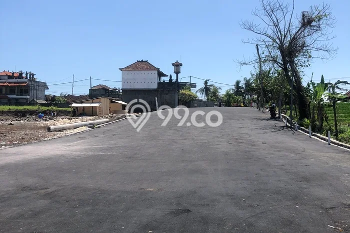 Tanah Kavling Dijual di Kedungu, Tabanan dengan Luas Tanah 224m2 Tanah Kavling Dijual di Kedungu, Tabanan dengan Luas Tanah 224m2