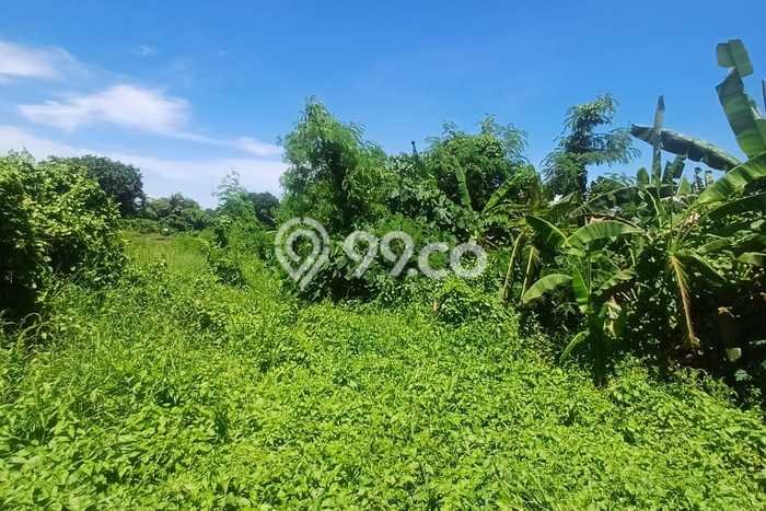 Dijual Tanah Lokasi Cemagi, Badung Seluas 213m2 Dijual Tanah Lokasi Cemagi, Badung Seluas 213m2
