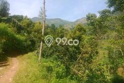 HARGA MENARIK! Tanah Kawasan Banjaran, Luas 560000m2m², Kawasan Berkembang, Bebas Longsor HARGA MENARIK! Tanah Kawasan Banjaran, Luas 560000m2m², Kawasan Berkembang, Bebas Longsor