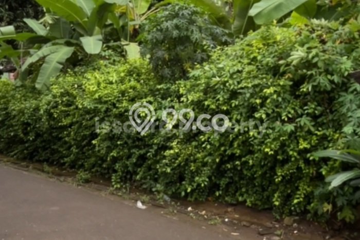 Tanah Kavling Dijual di BSD Foresta, Tangerang dengan Luas Tanah 669m2 Tanah Kavling Dijual di BSD Foresta, Tangerang dengan Luas Tanah 669m2