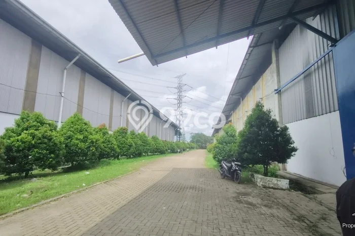Unit Gudang Disewa Lokasi Cikupa, Tangerang Spesifikasi Luas Bangunan 2204m2 Unit Gudang Disewa Lokasi Cikupa, Tangerang Spesifikasi Luas Bangunan 2204m2