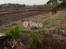 Lahan Dijual Lokasi Kedamean, Gresik dengan Luas Tanah 13900m2 dan Status SHM Lahan Dijual Lokasi Kedamean, Gresik dengan Luas Tanah 13900m2 dan Status SHM