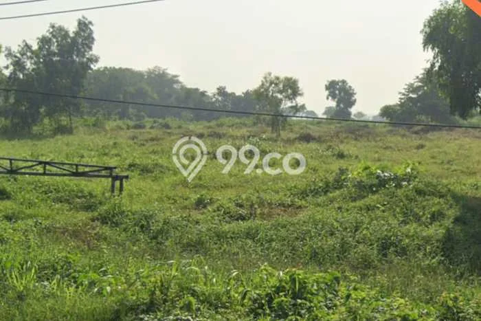 Lahan Investasi Lokasi Kedamean Gresik SHM Lahan Investasi Lokasi Kedamean Gresik SHM