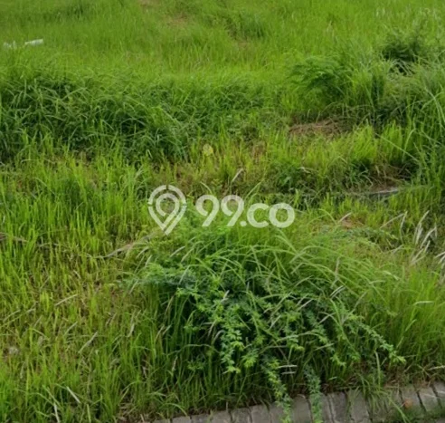 Lahan Dijual Lokasi Kedamean, Gresik dengan Luas Tanah 2800m2 dan Status SHM Lahan Dijual Lokasi Kedamean, Gresik dengan Luas Tanah 2800m2 dan Status SHM