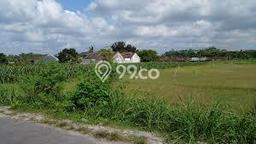 Tanah Kavling untuk Dijual di Driyorejo Gresik 18600m2 Tanah Kavling untuk Dijual di Driyorejo Gresik 18600m2