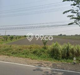 Tanah untuk Dijual Lokasi Bungah, Gresik Luas 33000m2 SHM Tanah untuk Dijual Lokasi Bungah, Gresik Luas 33000m2 SHM