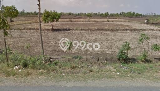 Kavling Tanah Dijual di Kedamean Gresik Spesifikasi 10555m2 Kavling Tanah Dijual di Kedamean Gresik Spesifikasi 10555m2