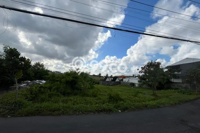 Kavling Tanah Disewakan di Mengwi Badung Luas 6470m2 Strategis Kavling Tanah Disewakan di Mengwi Badung Luas 6470m2 Strategis