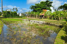 Tanah Disewakan Lokasi Dalung Badung Luas 940m2 Tanah Disewakan Lokasi Dalung Badung Luas 940m2